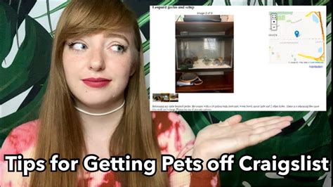 How to post pets on craigslist. Things To Know About How to post pets on craigslist. 